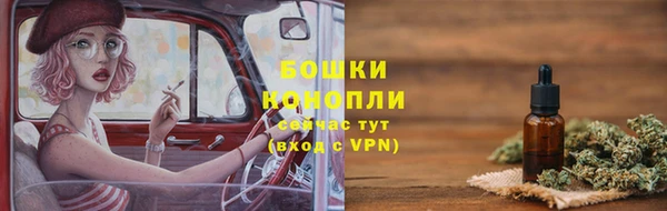 mix Богородицк