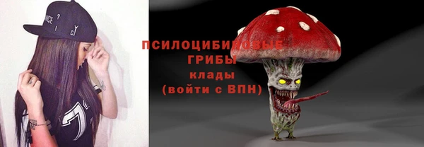 гашиш Богданович