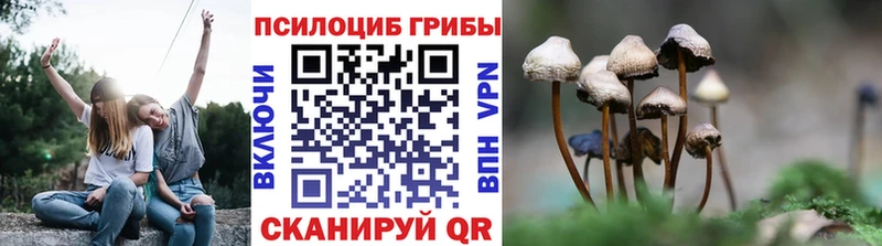 Псилоцибиновые грибы прущие грибы  сколько стоит  это телеграм  Дрезна 