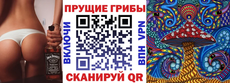 Галлюциногенные грибы Cubensis Дрезна